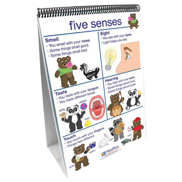 Early Childhood Science Readiness Flip Chart, All About Me