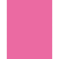 Multi-Purpose Paper, Hot Pink, 8-1-2" x 11", 500 Sheets